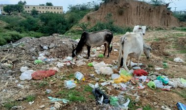 पानी छिड़कना प्रदुषण रोकने का स्थाई समाधान नहीं- मीणा