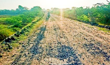 सार्वजनिक निर्माण विभाग की लापरवाही के चलते सावर से मेहरुकला रोड़ बदहाल, आमजन सहित वाहन चालक परेशान