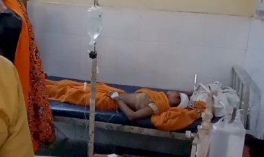 आवारा सांडो की लडाई में दो महिलाऐं घायल, अस्पताल में भर्ती