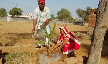 पचलंगी गोपीनाथ मंदिर के पुजारी ने वृक्षारोपण कर मनाई शादी की 28 वीं सालगिरह
