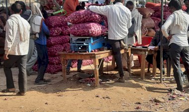 अस्थाई प्याज मंडी में अब इलैक्ट्रोनिक्स कांटे से होगी तुलाई