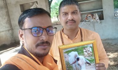 गौवंश के प्रति दिखी सच्ची श्रद्धा, समर्पण और सेवा का भाव