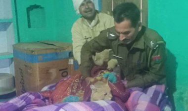 जंगली बिल्लाव से मौहल्ले मे हडकंप, वन विभाग ने पकडा