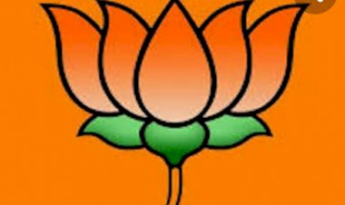 भाजपा अल्पसंख्यक मोर्चा ने कमल पट्टीका एवं मन की बात के जिला समन्वयक एवं सह समन्वयक की घोषणा की