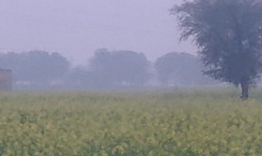 बादलों के छाए रहने से नहीं हुए धूप के दर्शन बढ़ी ठंड