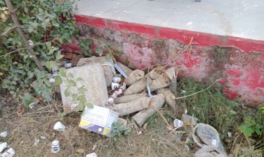 बिबिरानी के सरकारी अस्पताल में पोधारोपण के लिए आए पौधे बने कचरा