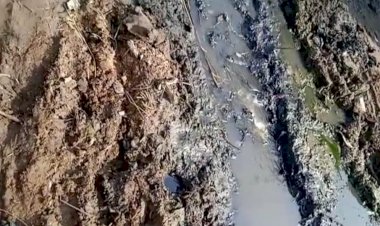 बंधाचौथ में आम रास्ते में जलभराव व कीचड़ के चलते लोगों का निकलना हो रहा मुश्किल