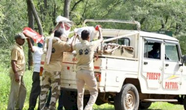 देव बनियों के साथ खोई हुई वन संपदा को पुनः तैयार करना जरूरी- मीणा