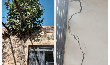 सामुदायिक स्वास्थ्य केंद्र की छत पर लगा बरगद का पेड़ मौत को दे रहा निमंत्रण, दीवारो में भी आई दरारे