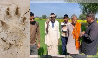 भय के साए में किसान रात्रि में नहीं दे पा रहे खेतो में पानी