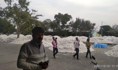 खैरथल मंडी में कपास की हो रही जोरदार आवक, अच्छे भावों में हो रही बिक्री