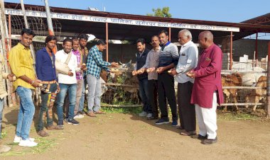 गायों को चारा-गुड़ खिलाकर मनाया राज्यसभा सांसद का जन्मदिन