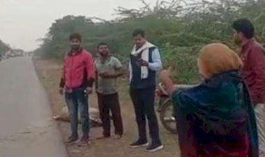 बाइक सवार दंपती व 5 माह का बच्चा नीलगाय से टकराये, नीलगाय की मौके पर मौत