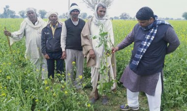 कठूमर क्षेत्र के दर्जनो गाँवों  मे ओलावृष्टि से फसल चौपट,  विधायक व जिलापाध्यक्ष ने दौरा कर नुकसान का लिया जायजा