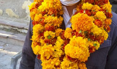 शाहपुरा अभिभाषक संस्था के मोहम्मद शरीफ बने अध्यक्ष