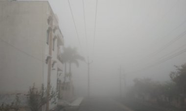 रात का पारा गिरा, कोहरे के आगोश में रहा शहर