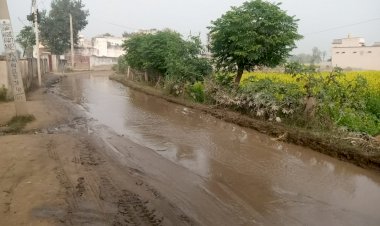 मोमनपुर तलवाड़ में मुख्य रास्ते पर भरा गंदा पानी ग्राम पंचायत के माथे पर बना कलंक