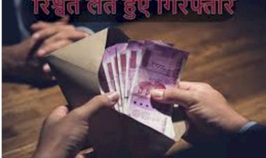 बिजली चोरी की फोटो खींचकर मांगी रिश्वत फिर जानिए हुआ क्या ?