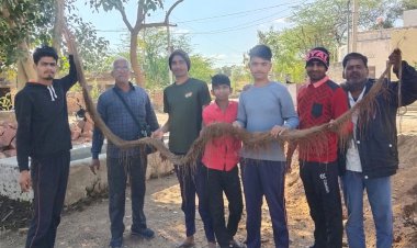 कैसे पहुंचता घरों तक पानी, पाइपो में बना जड़ों का घर