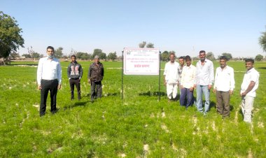 जीरा फसल के खेतों का कृषि अधिकारियों ने किया निरीक्षण