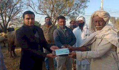 बानसूर में वन विभाग के अधिकारियों ने किसानों को मुआवजा राशि प्रदान की