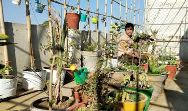 अनुपयोगी चीजों से गमले बनाकर ग्यारहवीं का छात्र छत पर उगा रहा सब्जियाँ