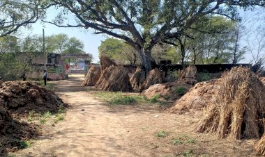 शिक्षा विभाग की अनदेखी: मुलभुत सुविधाओं से वंचित है किरतसिंहपुरा का राजकीय उच्च प्राथमिक विद्यालय