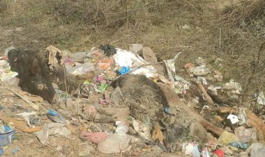 पालिका सफाई कर्मीयो द्वारा डाले गए कचरे से उठ रही दुर्गंध से लोग परेशान