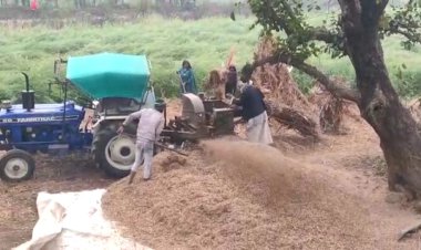 लक्ष्मणगढ़ क्षेत्र में इन दिनों किसानों के सामने दुधारू पशुओं को बचाने के लिए चारे का मंडरा रहा संकट