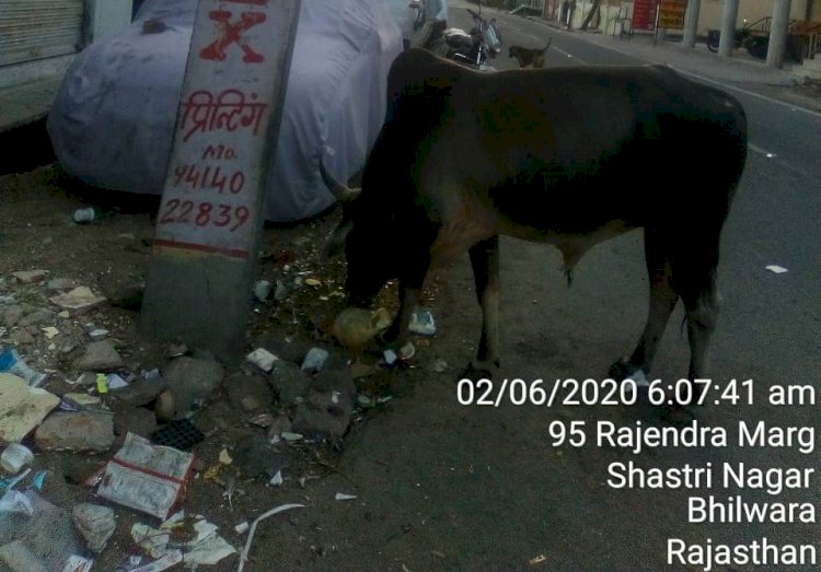 शहर मे मोदी जी के स्वच्छ भारत अभियान की उड़ाई जा रही है धज्जियां