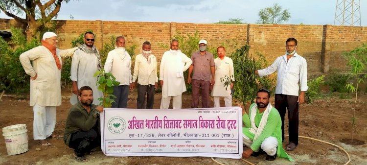 अखिल भारतीय सिलावट समाज विकास सेवा ट्रस्ट ने किया पौधरोपण कर दिया पर्यावरण संवर्धन का संदेश