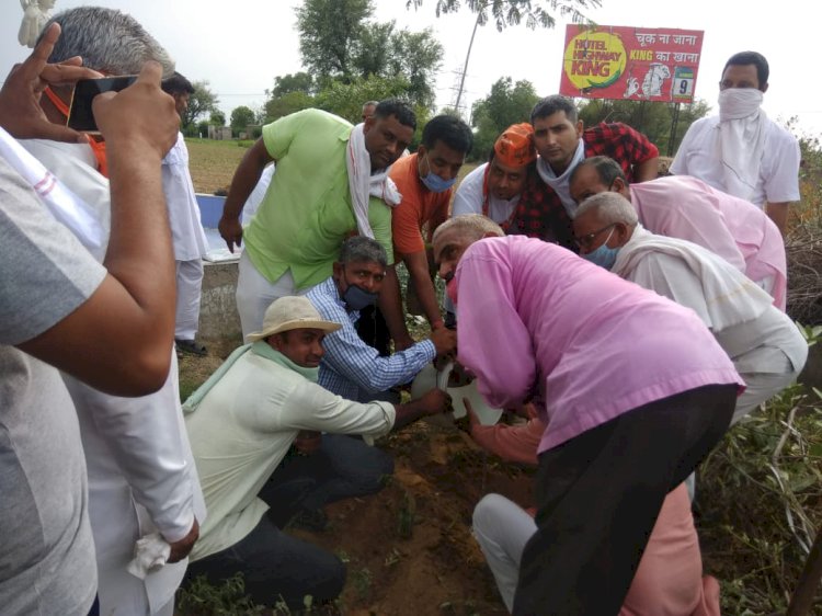 भाजपा कार्यकर्ताओं ने पूर्व प्रदेशाध्यक्ष मदन लाल सैनी की पुण्यतिथि पर वृक्षारोपण कर मनाई