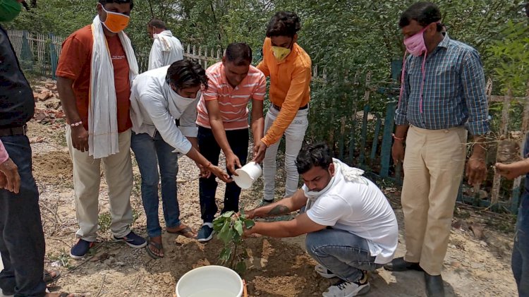 डॉ मुखर्जी की जयंती पर भाजपा कार्यकर्ताओं ने रोपे पौधे