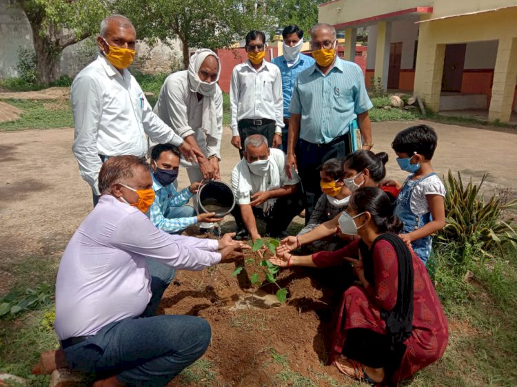 राजकीय उच्च माध्यमिक विद्यालय परिसर मे किया पौधारोपण