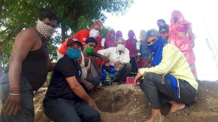 हरियालो मारवाड़ अभियान के तहत नरेगा  श्रमिकों ने किया वृक्षारोपण