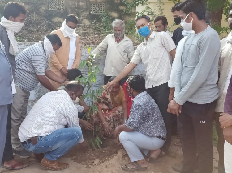 हरियाला राजस्थान के तहत अम्बेडकर भवन में लगाये गए पौधे