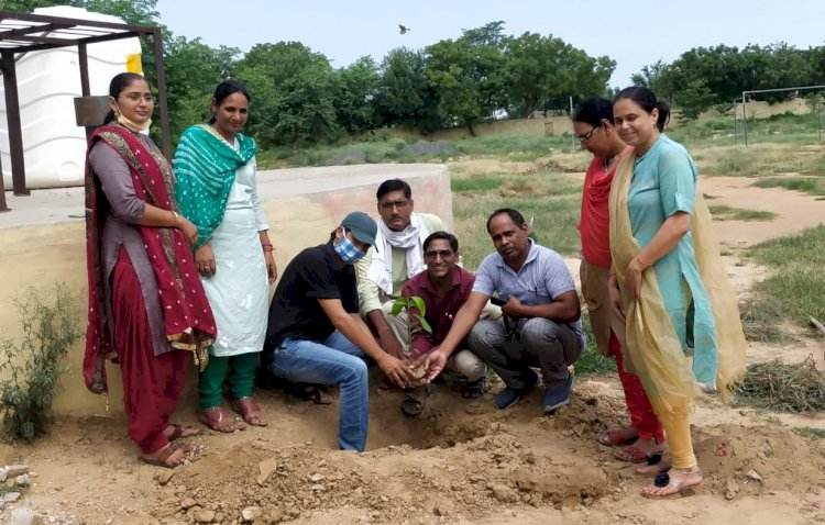 हरित पाठशाला कार्यक्रम के अंतर्गत हुआ वृक्षारोपण