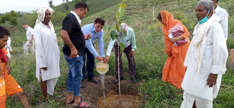 कंगलदास पहाड़ी पर कांवड़ियों ने 100 पौधे लगाकर दिया पर्यावरण संरक्षण का संदेश