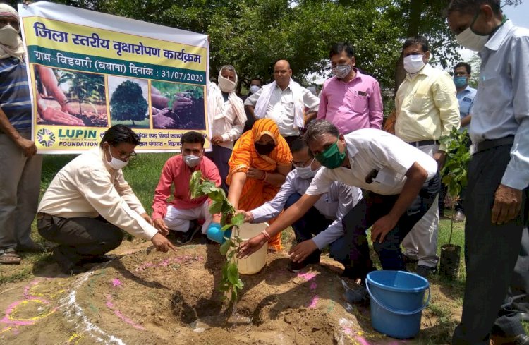 500 पेड लगवाकर ग्रामीणों को पौधारोपण के लिए किया प्रोत्साहित