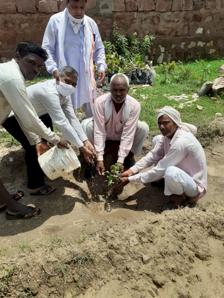 हरित राजस्थान अभियान के तहत पौधे लगाकर देखरेख की जिम्मेदारी ली