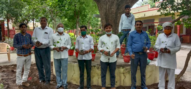 पर्यावरण संरक्षण को लेकर विद्यालय प्रांगण में अध्यापकों ने लगाए पौधे
