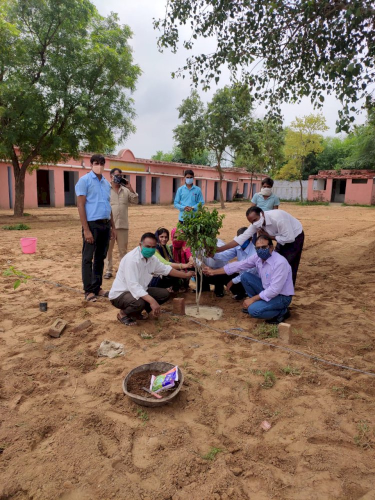 प्रकृति को बढ़ावा देने के लिए हांसपुर कला में अध्यापको ने लगाए 101 पौधे