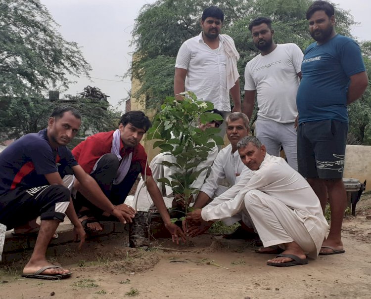 पेड़ लगाकर धरती का करें श्रृंगार संकल्प के साथ 551 पौधे लगाए