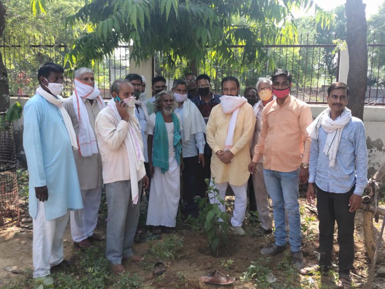 भाजपा कार्यकर्ताओ ने सेवा सप्ताह मे कलाधारी आश्रम मंदिर में किया वृक्षारोपण