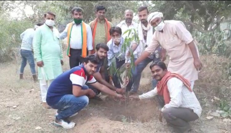 भाजपा प्रदेशाध्यक्ष के जन्मदिन पर किया वृक्षारोपण