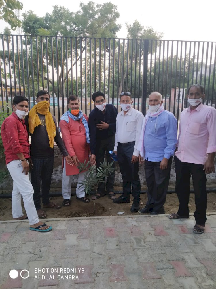 राजस्थान भाजपा प्रदेशाध्यक्ष के जन्मदिन पर कार्यकर्ताओं ने किया वृक्षारोपण